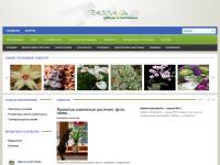 "Tacca.ru" - цветы и растения в саду и дома